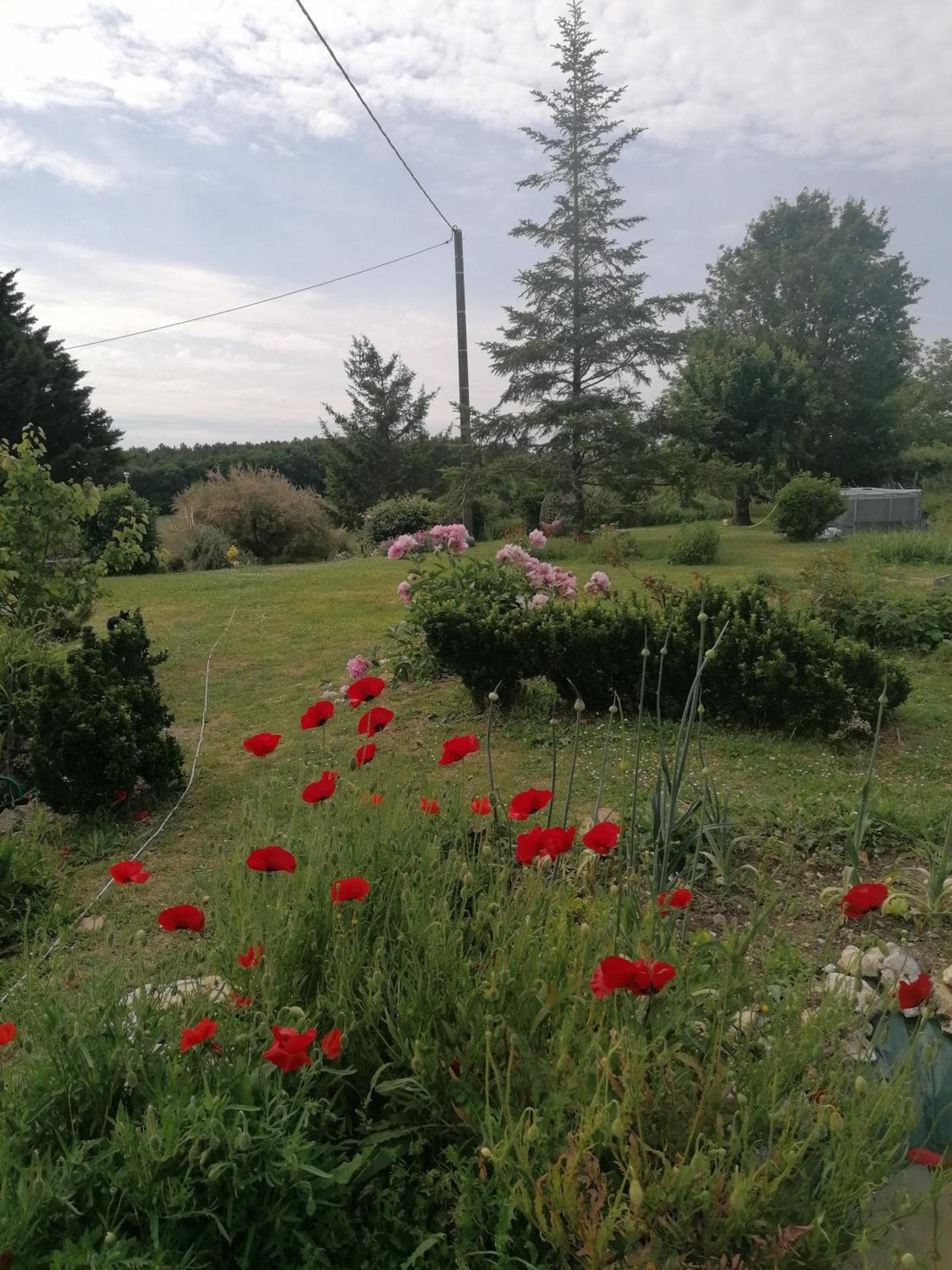 Vila Charmante Maison, Calme Et Nature A La Roche Posay Exteriér fotografie