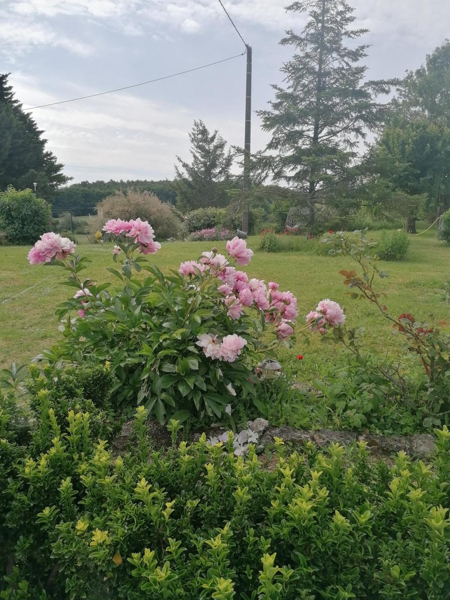 Gite 4 Pers, Jacuzzi, Piscine, Proche Futuroscope, Calme Et Nature A La Roche Posay La Roche-Posay Exteriér fotografie