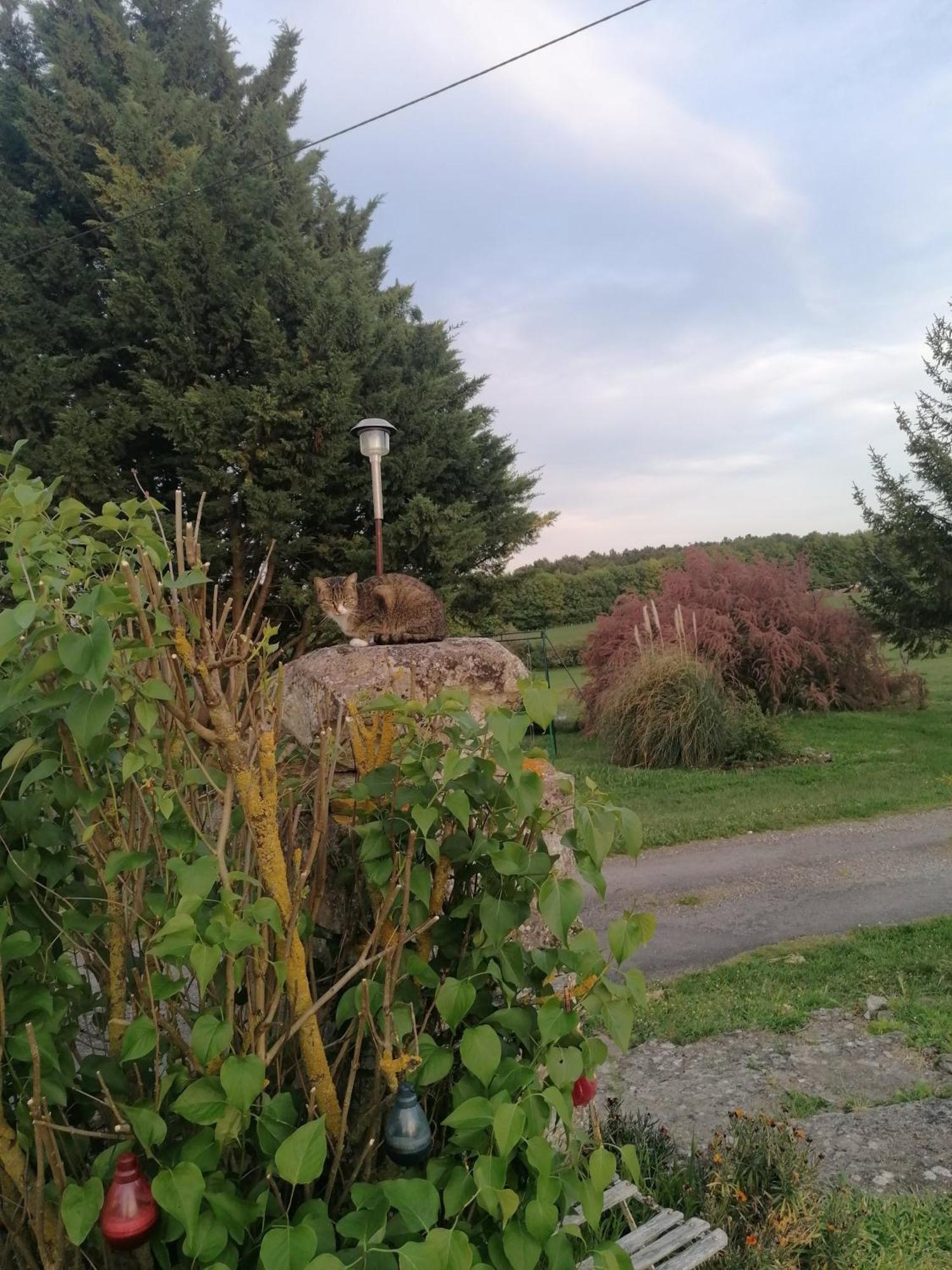 Vila Charmante Maison, Calme Et Nature A La Roche Posay Exteriér fotografie