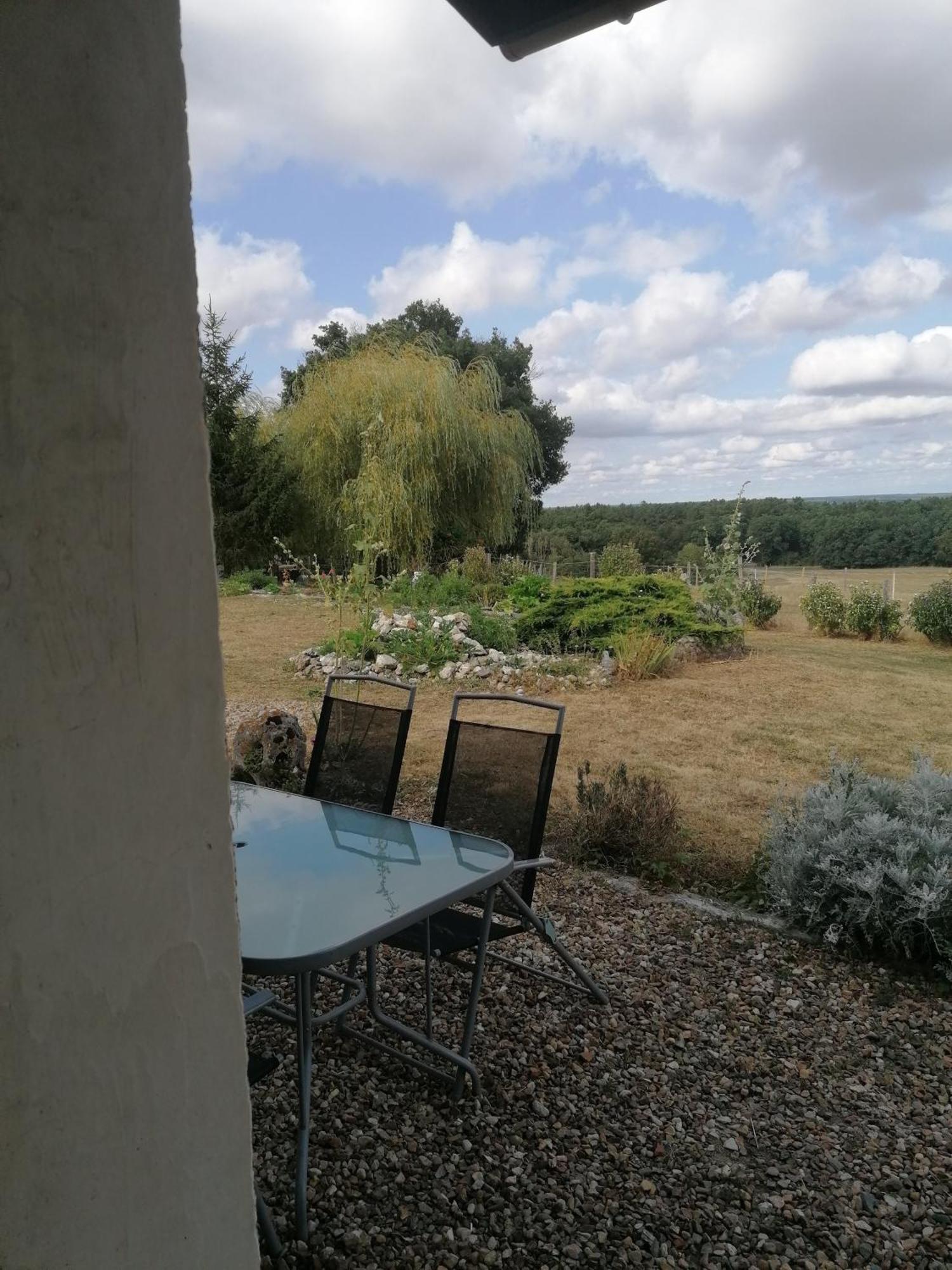 Gite 4 Pers, Jacuzzi, Piscine, Proche Futuroscope, Calme Et Nature A La Roche Posay La Roche-Posay Exteriér fotografie